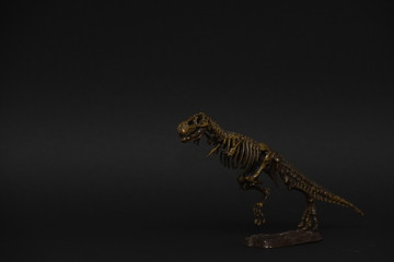 plastic skeleton carnivorous dinosaur