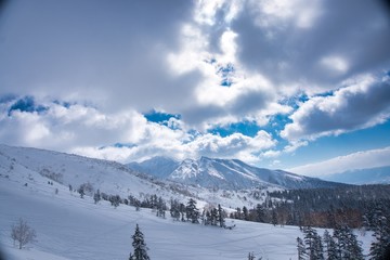 Japan's snow powder. Winter mountains panorama