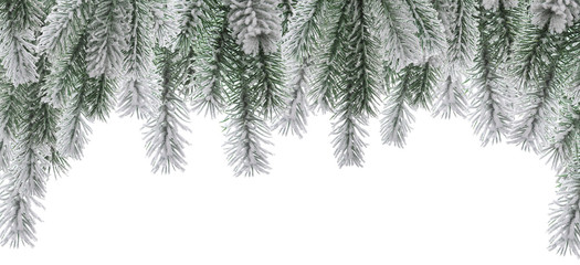 Winter Christmas snow fir tree branch arch or frame isolated on white background