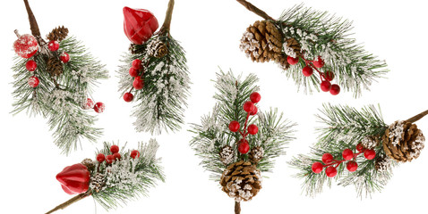 Christmas tree branch with snow, red berries and cones isolated on white background as set of...