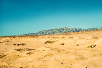 Fototapeta na wymiar Safari in Egypt Sinai, travel of tourists in the Sahara desert.Road in the desert. Yellow sand and blue sky.