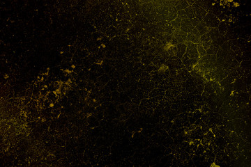 abstract gold black background for Christmas New year, Chinese new year, Holiday. Background for zodiac