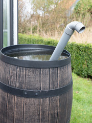 Prepare the garden for summer. The rain pipe has fallen into the water barrel