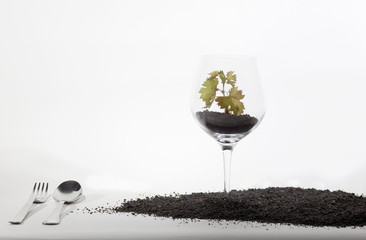volcanic wine