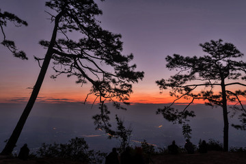 Sunrise   Phu Kradueng National Park , located in Phu Kradueng District in Loei Province : Thailand 