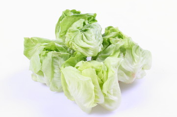 Green cabbage isolated over white background