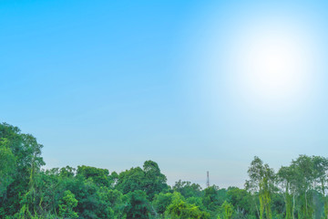 Blue sky with cloud bright Nature forest at. Border, Thailand - Malaysia.