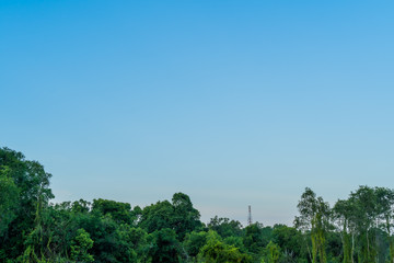 Blue sky with cloud bright Nature forest at. Border, Thailand - Malaysia.