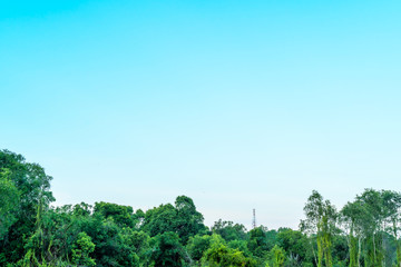 Blue sky with cloud bright Nature forest at. Border, Thailand - Malaysia.