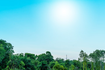 Blue sky with cloud bright Nature forest at. Border, Thailand - Malaysia.