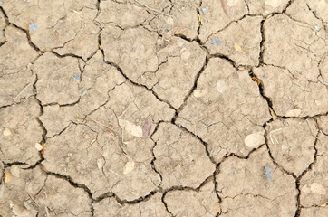 dried soil background