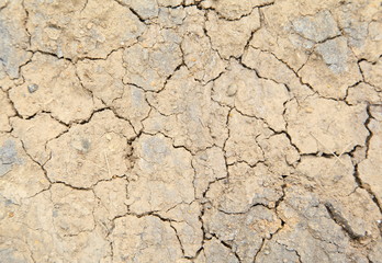 dried soil background