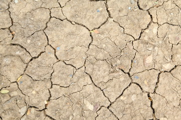 dried soil background