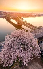 Wandaufkleber Budapest, Hungary - Beautiful Liberty Bridge at sunrise with cherry blossom © GezaKurkaPhotos