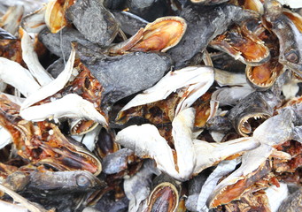 Dried Striped snake head sale at market for cooking