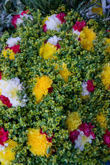 Obraz na płótnie Canvas Arequipa Peru central market. Flowers