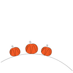 Pumpkins on white background vector illustration