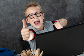 little school boy with laptop showing OK gesture