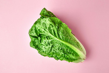 Romano salad on colored background. Textured salad romano on madern pink background isolated