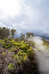Vertical view of volcano steam vents in Big Island Hawaii 