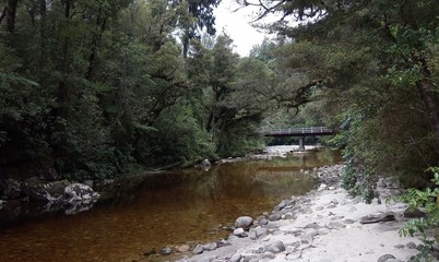 Blick auf den Oparara River