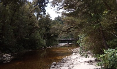 Blick auf den Oparara River