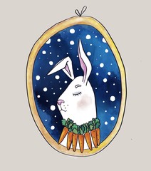 space, rabbit, hare, carrot