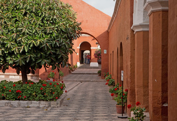 Fototapeta na wymiar Arequipa Peru courtyard with tree