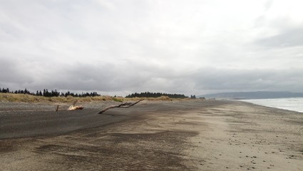 Blick auf den weitem Strand von Amberley mit einem gr&ouml;&szlig;eren Ast, der aus dem Sand ragt.