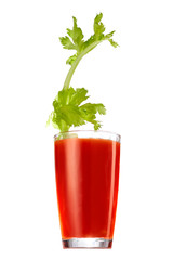 Bloody Mary cocktail with a celery twig is contained in a highball glass. The bright illustrative picture is made on the white background. 