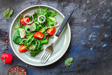 Healthy salad, leaves mix salad (mix micro greens, cucumber, tomato, onion, other ingredients). keto or paleo diet top concept, food background copy space for text