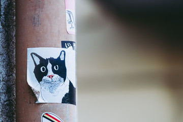 Illustration collage représentant un chat noir et blanc