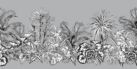Fototapeta premium Seamless horizontal border with sketchy palm trees and tropical foliage.