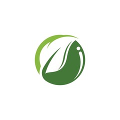 Green leaf logo template