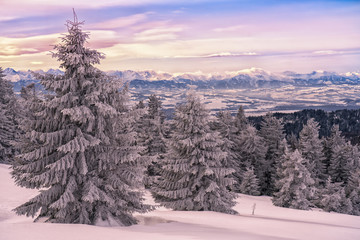 View of the Tatra Mountains 3