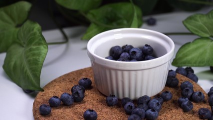 Fototapeta na wymiar delicious blueberries falling in white bowl. cinematic view with green plants in the background