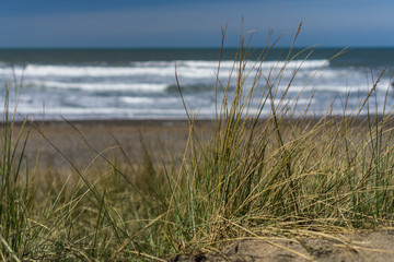 Chilling in the Sand dunes