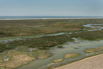 Malecon Coastal Reserve. Peru coast. Tidal reserve. National park