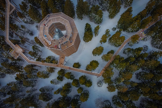 Aerial view of a forest canopy tower and walkway, also footpath above treetops on Rogla on a cold winter day. Beautiful landscape on Rogla