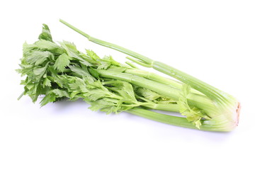 Green celery isolated on white background