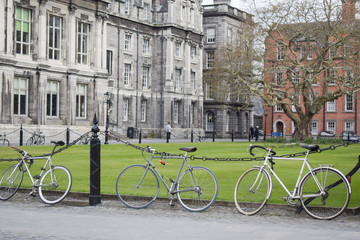 Fototapeta premium Bicicletas clásicas aparcadas en el patio de Trinity College en Dublin