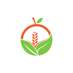 Organic fruit plantation logo template