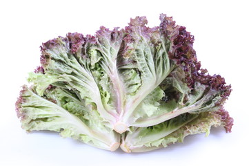 Red coral salad isolated on the white background.