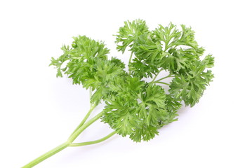 Parsley on white background
