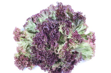 Red coral salad isolated on the white background.