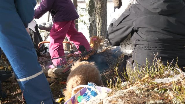 Family Cooking Sausages at Campfire out in nature