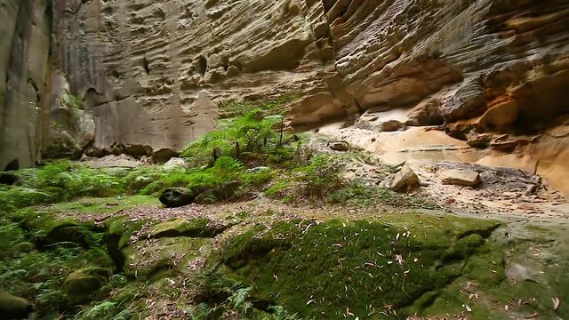 Left to right panning motion of the inside of the rock formation know as ( The Amphitheater ) off the main walking trail at Carnarvon Gorge National 