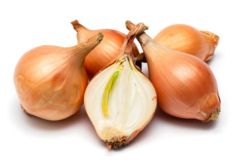 fresh bulbs of onion on a white background