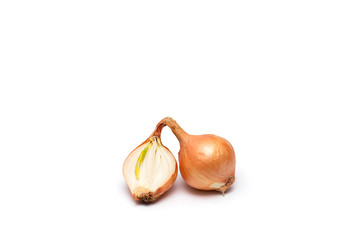 fresh bulbs of onion on a white background