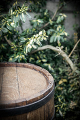 Old wooden barrel in garden and free space for your decoration. 